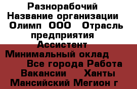 Разнорабочий › Название организации ­ Олимп, ООО › Отрасль предприятия ­ Ассистент › Минимальный оклад ­ 25 000 - Все города Работа » Вакансии   . Ханты-Мансийский,Мегион г.